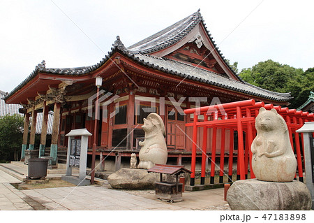 屋島寺本堂と蓑山大明神 47183898