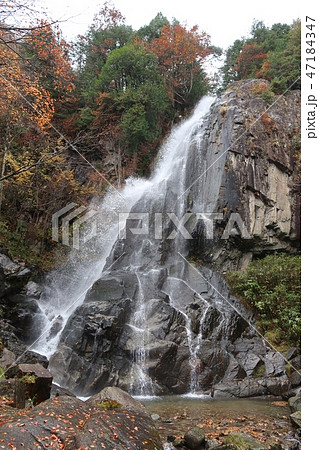 大倉滝　岐阜県高山市清見町 47184347