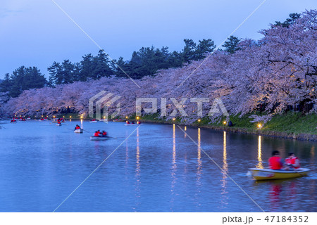 青森県 弘前城の夜桜 青森県 弘前城の夜桜 47184352
