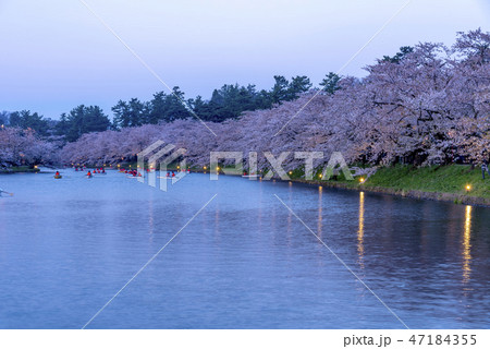 青森県 弘前城の夜桜 青森県 弘前城の夜桜 47184355