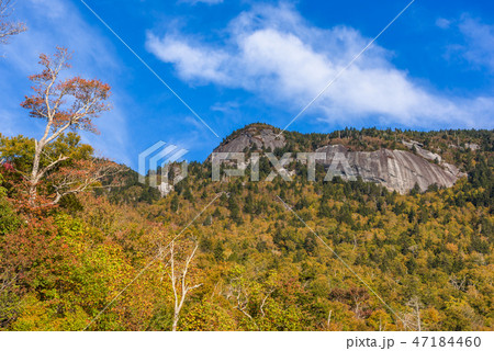 Grandfather Mountain 47184460