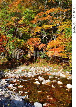 小川と紅葉（福島県） 47185199