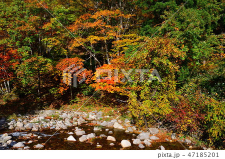 小川と紅葉（福島県） 47185201