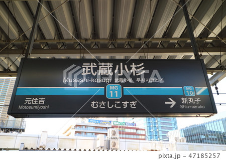 東急駅名版武蔵小杉 東急駅名版武蔵小杉 47185257