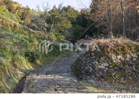 萩往還 萩往還 47185286