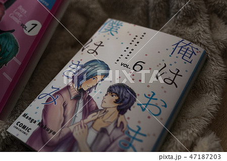 BL本 BL本 47187203