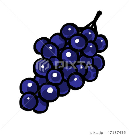 ぶどう 47187456