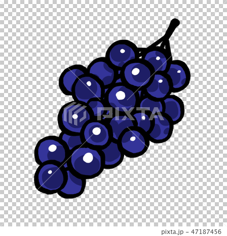 ぶどう 47187456