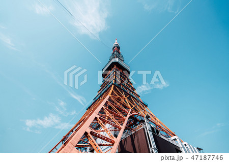 Tokyo Tower,東京鐵塔,skyline, japan,cityscape, travel Tokyo Tower,東京鐵塔,skyline, japan,cityscape, travel 47187746