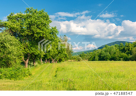 beautiful countryside in springtime beautiful countryside in springtime 47188547