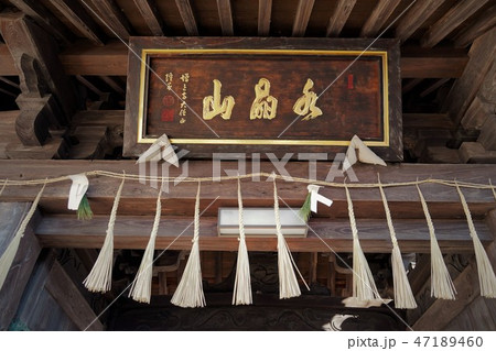 産額（西念寺）しめ飾り（しめ縄） 47189460