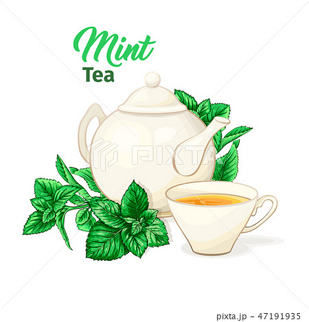 Ceramic Teapot and Tea cup with Mint Tea and Leaves. Isolated and Detailed. 47191935
