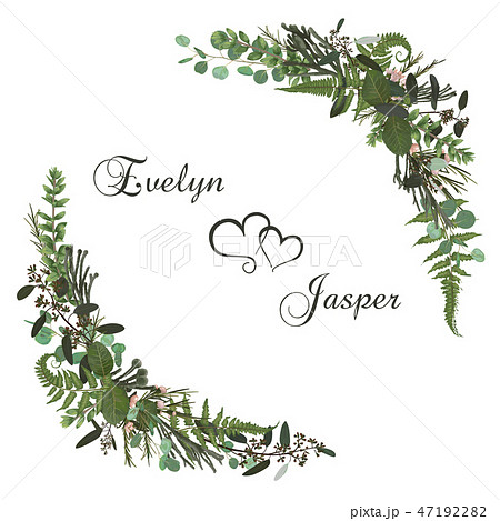 Vector floral bouquet design set, green forest Vector floral bouquet design set, green forest 47192282