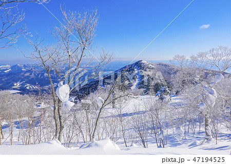 西森山から前森山 47194525