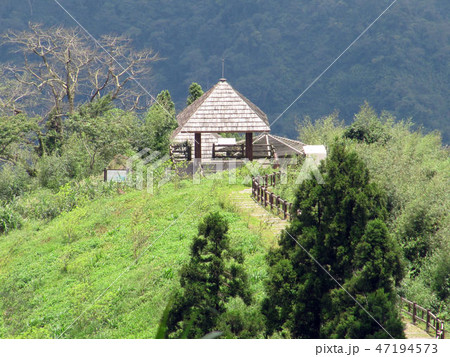 嘉義 阿里山 うんかい 47194573