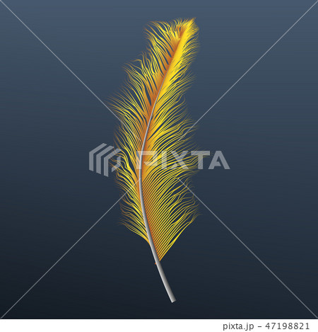 Yellow feather icon, realistic style Yellow feather icon, realistic style 47198821