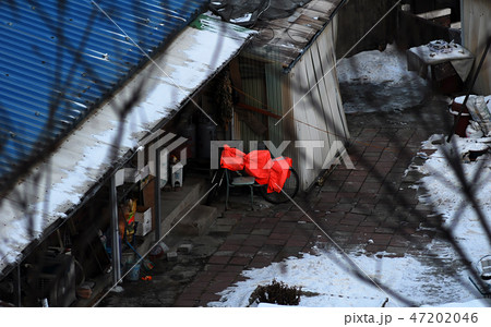 冬 目 屋根 47202046