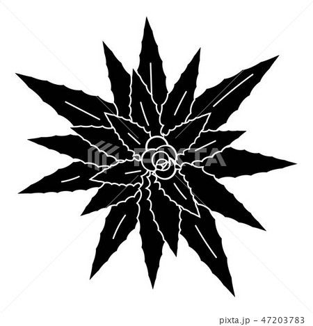 Top view aloe vera icon, simple style Top view aloe vera icon, simple style 47203783