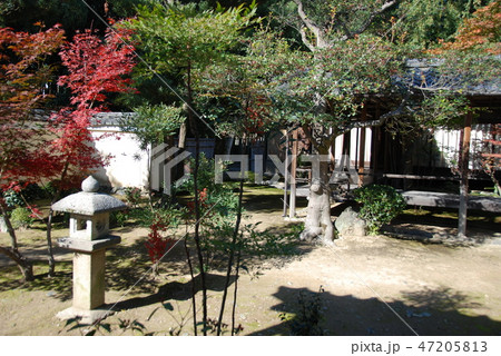 鹿王院の庭園(京都市右京区嵯峨北堀町) 鹿王院の庭園(京都市右京区嵯峨北堀町) 47205813