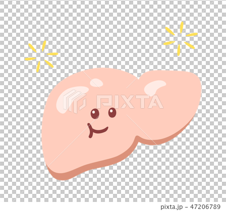 笑顔の脂肪肝　ふちなし 47206789