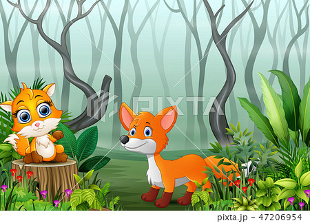 Cartoon two foxes playing in the foggy forest 47206954