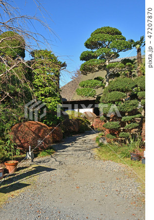 益子散歩:日下田藍染工房 益子散歩:日下田藍染工房 47207870