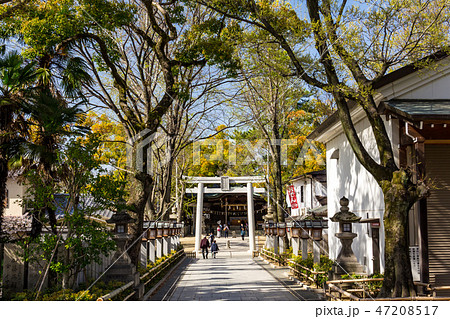 石切劔箭神社 初詣の写真素材