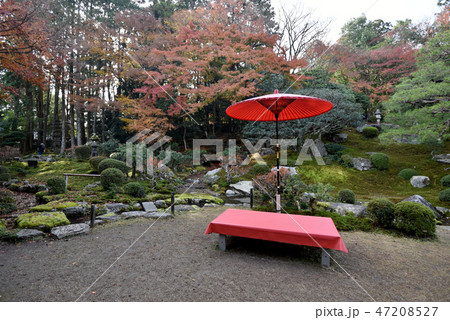 旧竹林院　庭園 47208527