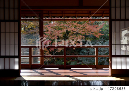 旧竹林院 庭園 旧竹林院 庭園 47208683