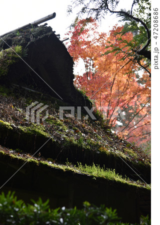 旧竹林院 天の川席 旧竹林院 天の川席 47208686