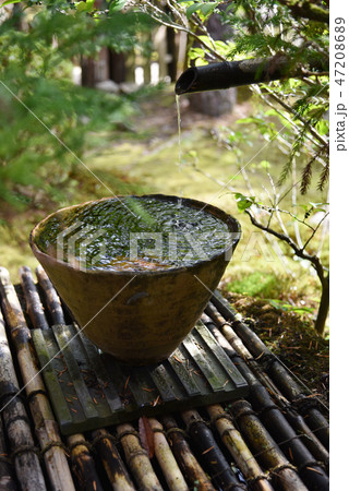 旧竹林院庭園の手水鉢 47208689