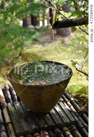 旧竹林院庭園の手水鉢 47208948