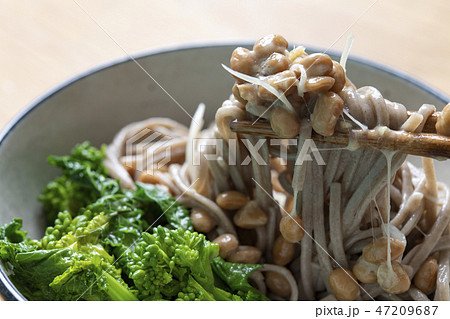 納豆そば　菜の花添え 47209687