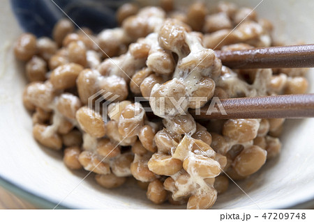 納豆 納豆 47209748