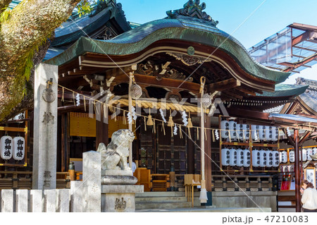 本殿 参拝 石切神社 47210083