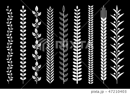 Leaf nature pattern vector illustrations. 47210403