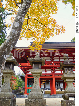 高野山　中門の紅葉　和歌山県伊都郡高野町 47210419