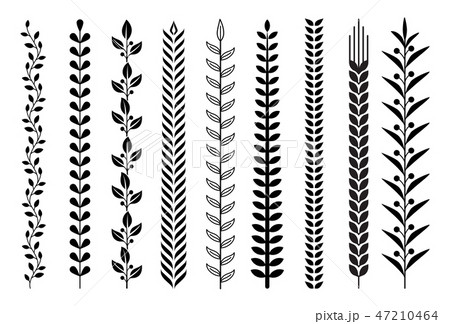 Leaf nature pattern vector illustrations. Leaf nature pattern vector illustrations. 47210464