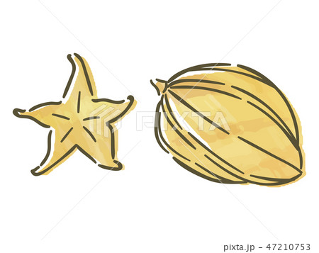 スターフルーツ 47210753