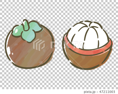 Mangosteen Mangosteen 47211003