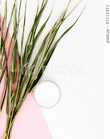 Minimalist fashion and beauty nature photo. Bright Minimalist fashion and beauty nature photo. Bright 47212051