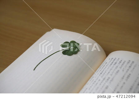 押し花 押し花 47212094