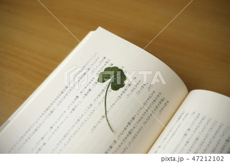 押し花 押し花 47212102