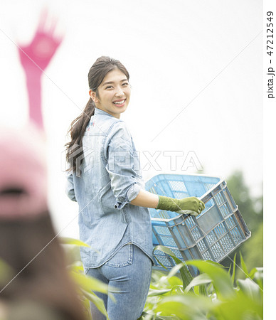 女性　農業 47212549
