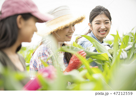 女性 農業 仲間 女性 農業 仲間 47212559