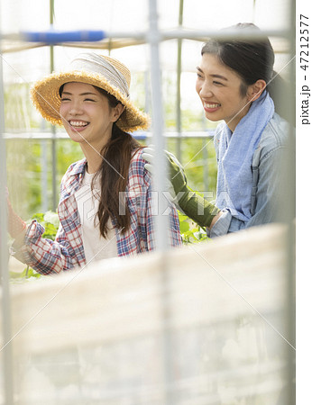 女性 農業 仲間 女性 農業 仲間 47212577
