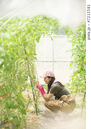 女性 農業 女性 農業 47212581