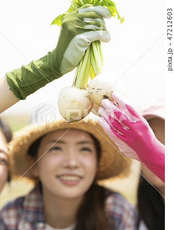 女性 農業 仲間 女性 農業 仲間 47212603