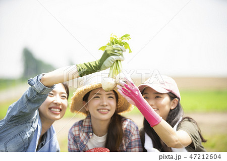 女性　農業　仲間 47212604
