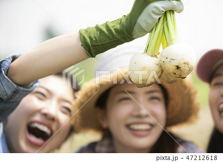 女性　農業　仲間 47212618